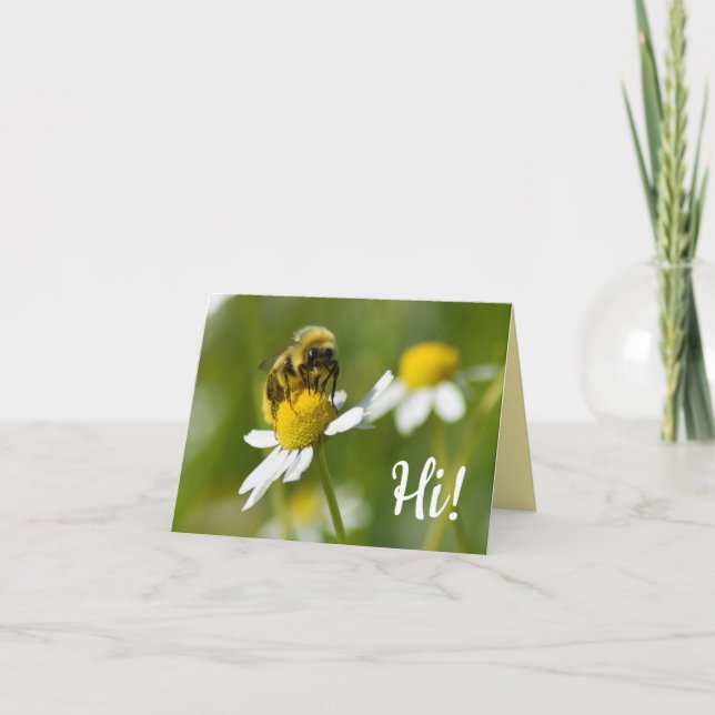 Cartão Bee On Camomile Flower Hi! Blank Photo Note Card (Frente)