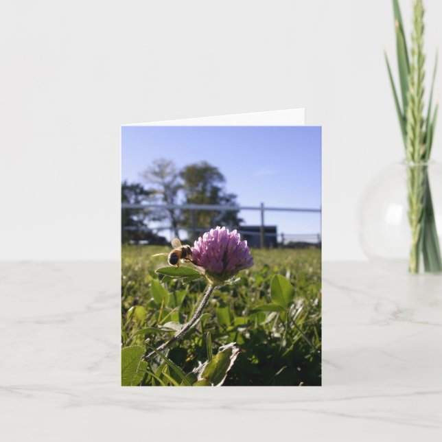 Cartão Bee on Clover Notecard (Frente)