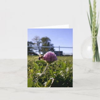 Cartão Bee on Clover Notecard