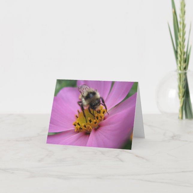 Cartão Bee on flower note card (Frente)