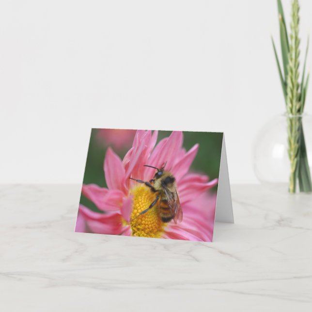 Cartão Bee On Pink Daisy Flower Photography Note (Frente)