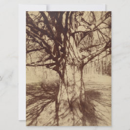 Cartão Beech Tree (por Eugène Atget)