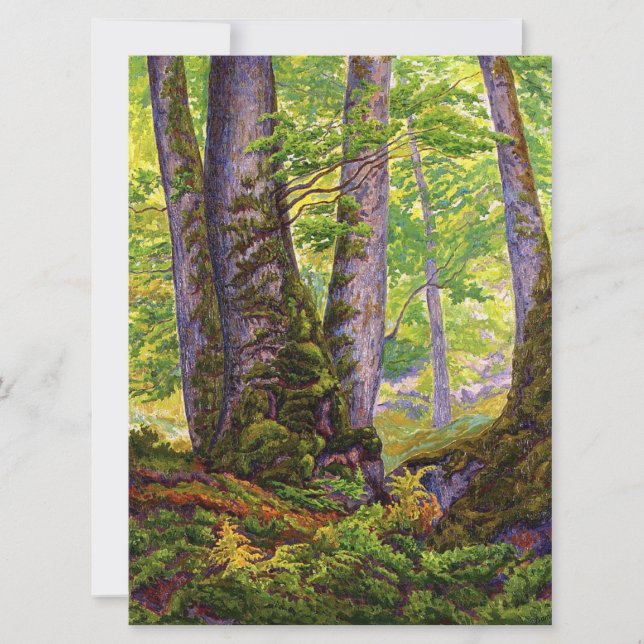 Cartão Beech Trees in the Forest (Woodland) (Paul Ranson) (Frente)