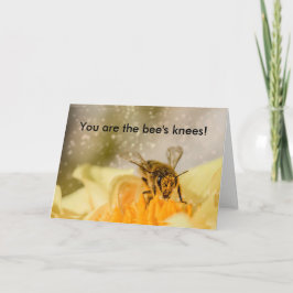 Cartão Bee's Knees Congratulations Card