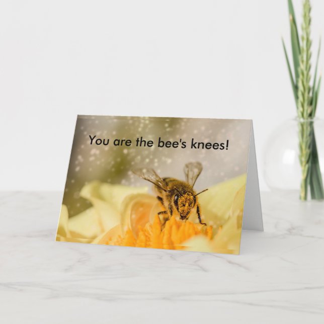Cartão Bee's Knees Congratulations Card (Frente)