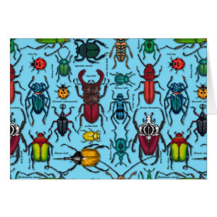Cartão Beetles on blue