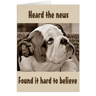 CARTÃO **BEFUDLED BULL DOG** NÃO ACREDITA QUE VOCÊ É **50