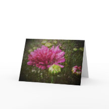 Beginning Again Greeting Card