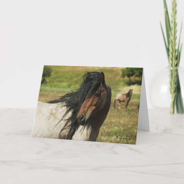 Cartão Behold the Beauty (Frente)