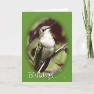 Cartão Beija-beija-flor-preguiçosa - personalize qualquer