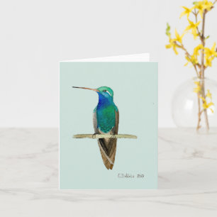 Cartão Beija-flor-de-bico-largo
