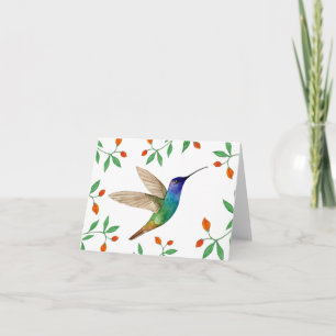 Cartão Beija-flor Safira de Cauda Dourada em Branco