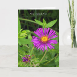 Cartão Beija sem um abraço... Cota de jardinagem