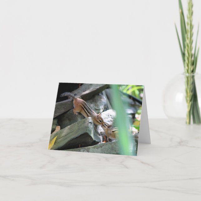 Cartão Beijando Chipmunks (Frente)