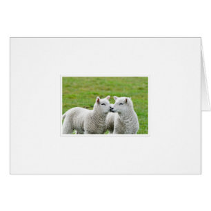 Cartão Beije e compo