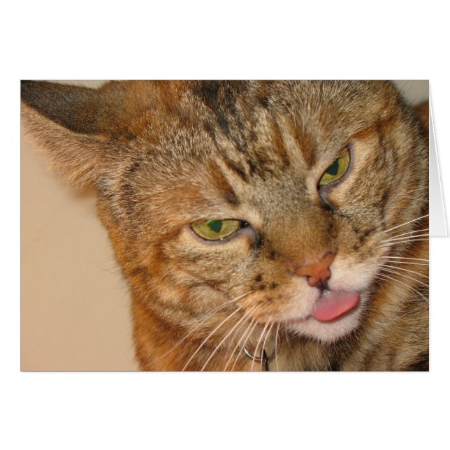 Cartão beijo de gatinho (Frente Horizontal)