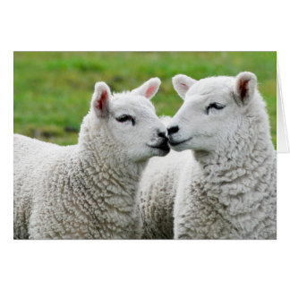 Cartão Beijo e maquiagem