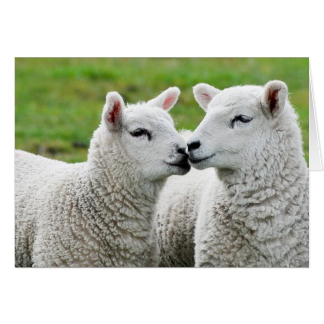 Cartão Beijo e maquiagem (Frente Horizontal)