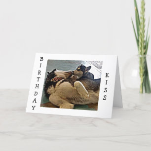 CARTÃO BEIJOS DE ANIVERSÁRIO = FOTOGRAFIA DE PUP