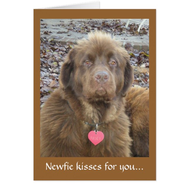 Cartão Beijos novos para você... (Frente)