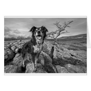 Cartão Beira na vigia