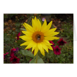 Cartão Bela Abelha na Foto de Girassol Amarelo