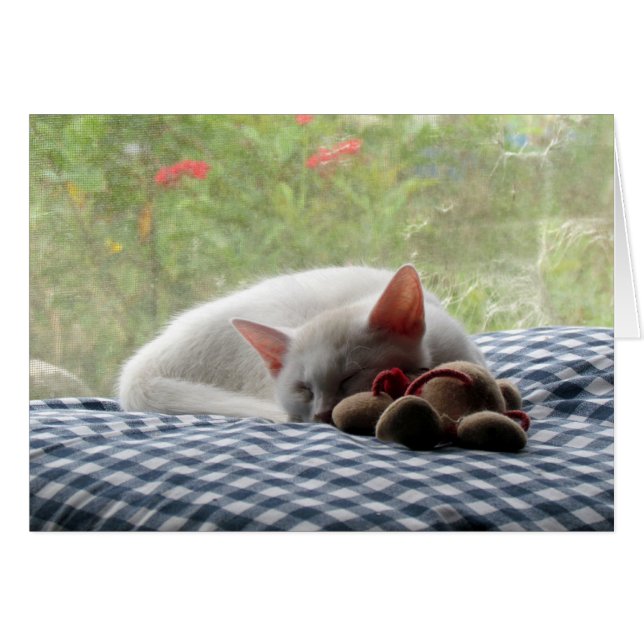 Cartão Bela Adormecida (Frente Horizontal)