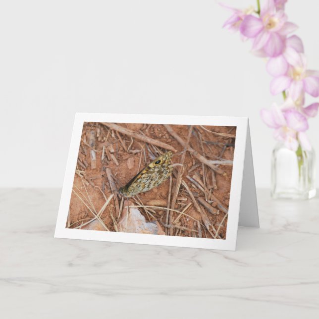 Cartão Bela Borboleta (Orquídea)