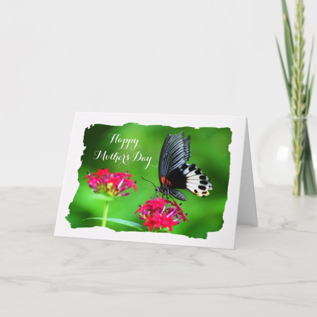 Cartão Bela Borboleta (Grande Mormon) Dia das Mães (Frente)