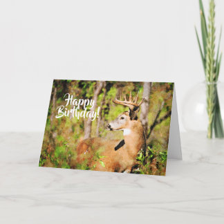 Cartão Bela Branca Deer Buck Watercolor Aniversário