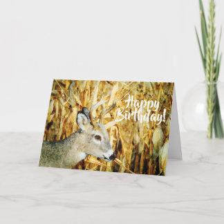 Cartão Bela Branca Deer Buck Watercolor Aniversário