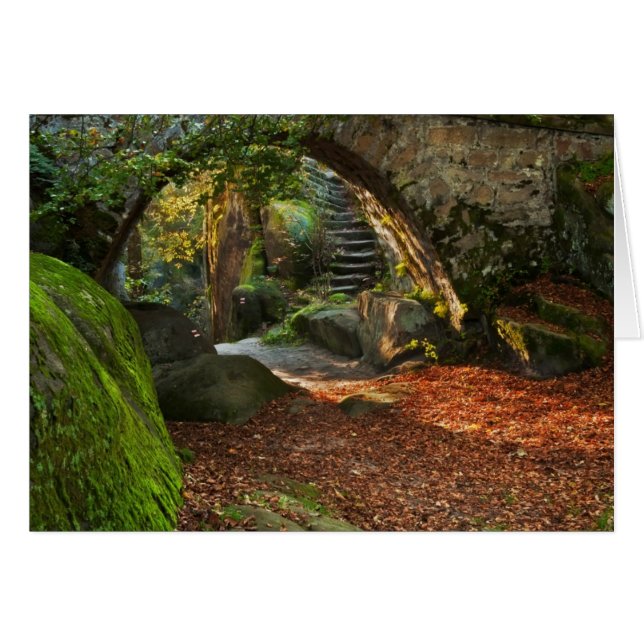 Cartão Bela cena de outono (Frente Horizontal)