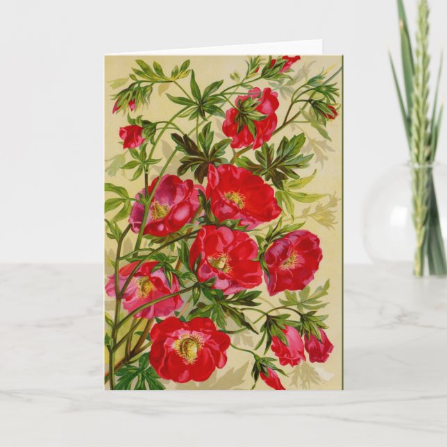Cartão Bela Cherry Red Wild Rosas Notecards (Frente)
