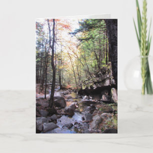 Cartão Bela Desejo de Aniversário