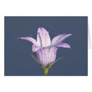 Cartão Bela flor azul