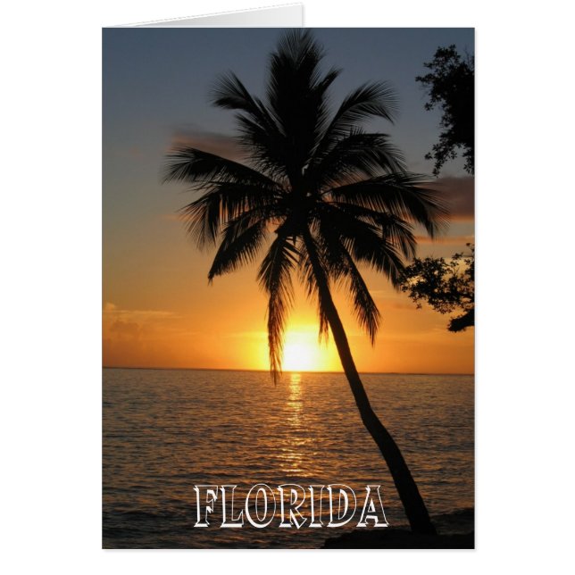 Cartão Bela Flórida (Frente)