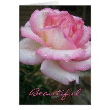 Bela Placa de Escritura de Rosa 3:11