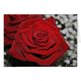 Cartão Bela Rosa vermelha