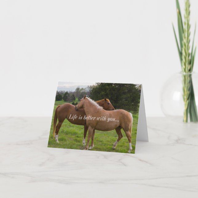 Cartão Belas Banheiras A Vida É Melhor Com Você (Frente)