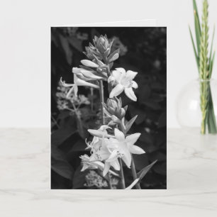 Cartão Belas Flores Preto e Branco Dia das Mães