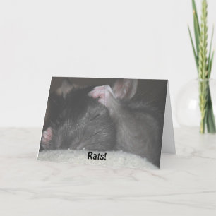 Cartão Belated Birthday Card