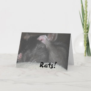 Cartão Belated Birthday Card