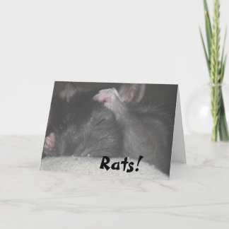 Cartão Belated Birthday Card