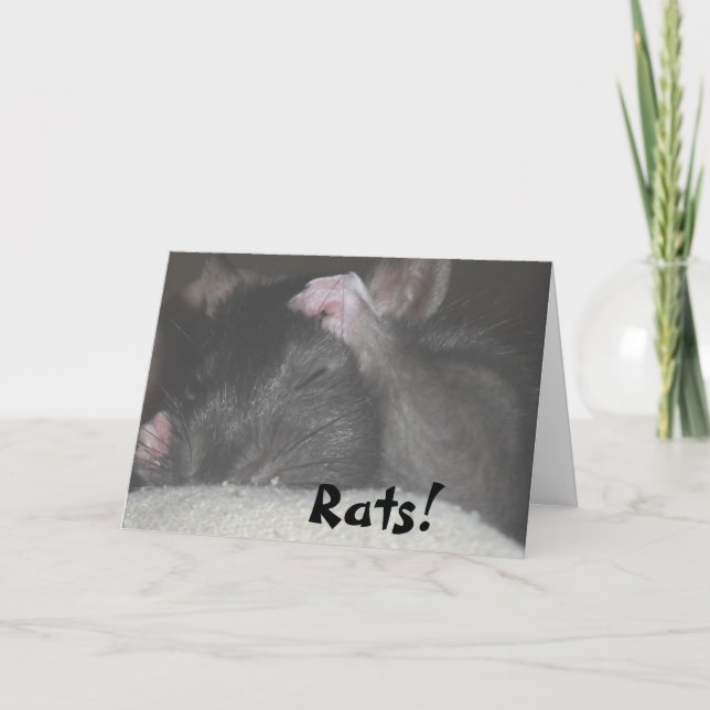 Cartão Belated Birthday Card (Frente)