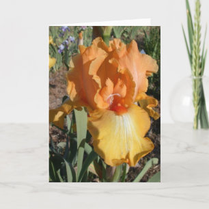 Cartão Belated Birthday Card - Memory