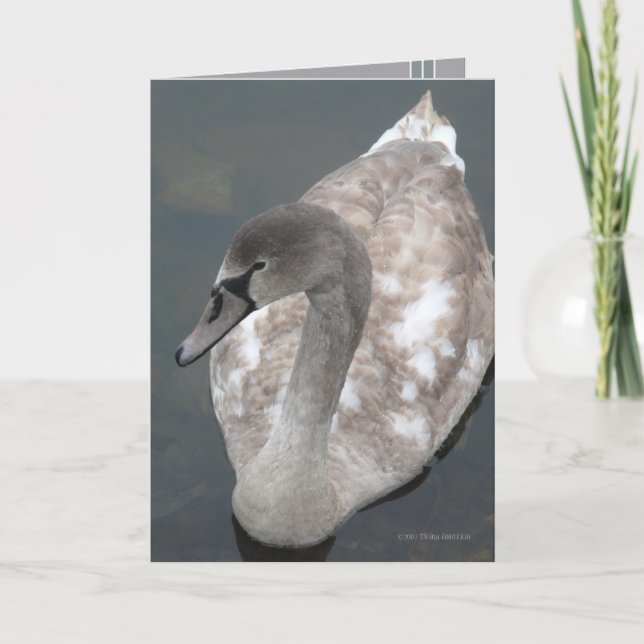 Cartão Beleza adolescente (Frente)