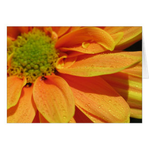 Cartão Beleza alaranjada