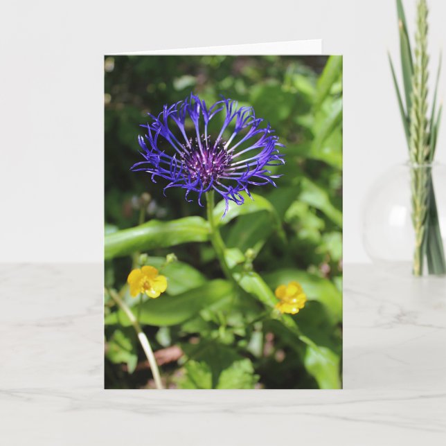 Cartão Beleza Azul (Frente)