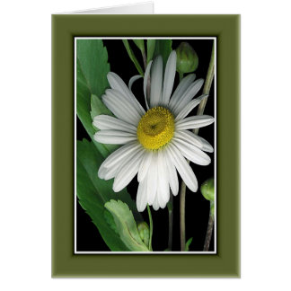 Cartão Beleza da Natureza r/c17