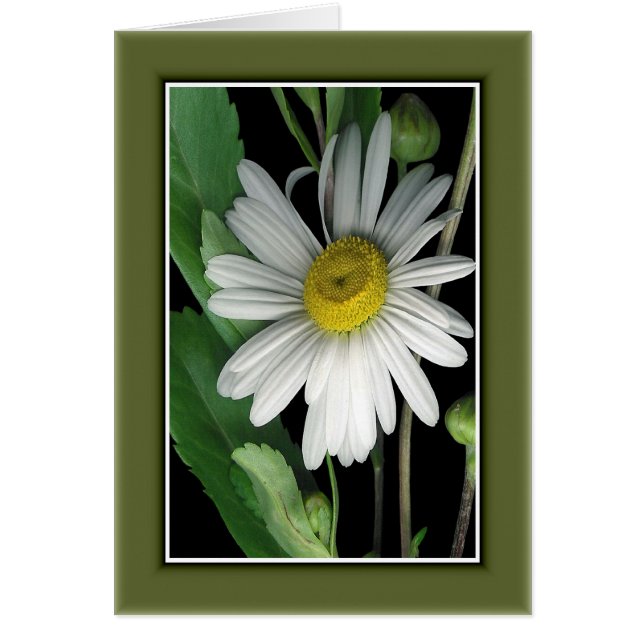 Cartão Beleza da Natureza r/c17 (Frente)